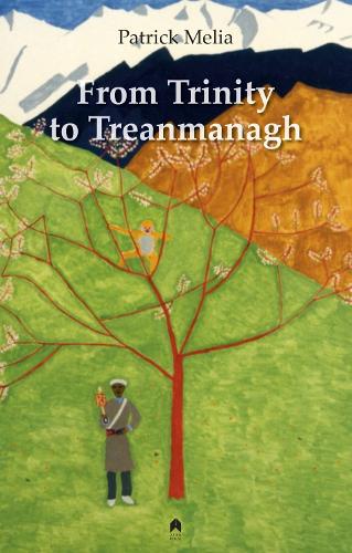 From Trinity to Treanmanagh (Paperback)