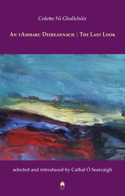 An Tamharc Deireannach : The Last Look (Hardback)