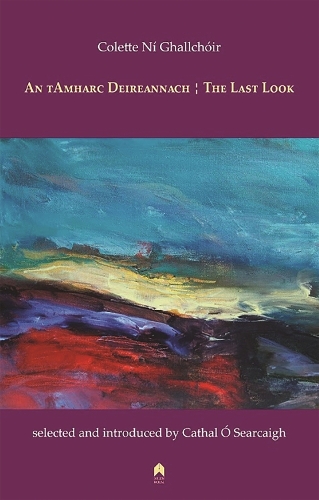 An tAmharc Deireannach : The Last Look (Paperback)