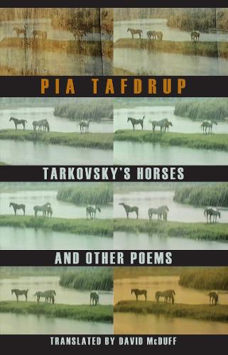 Tarkovsky's Horses and Other Poems (Paperback)