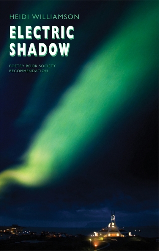 Electric Shadow (Paperback)