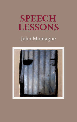 Speech Lessons (Paperback)
