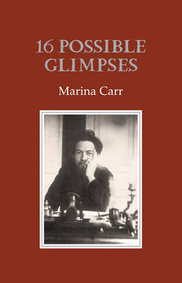 16 Possible Glimpses (Paperback)