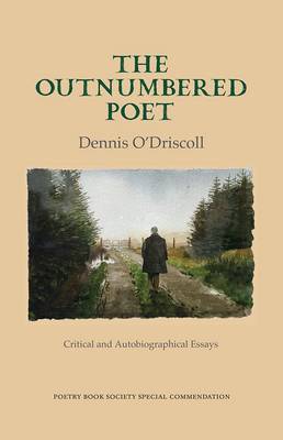 The Outnumbered Poet: Critical and Autobiographical Essays (Hardback)