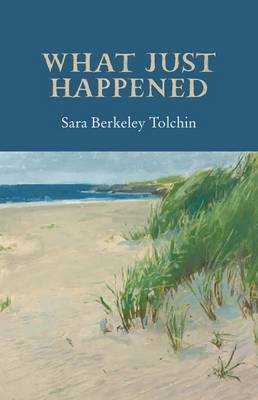 What Just Happened (Hardback)