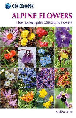 Gillian Price Alpine Flowers