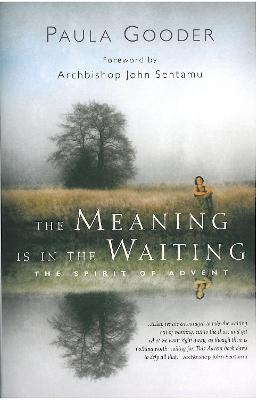 The Meaning is in the Waiting: The Spirit of Advent (Paperback)