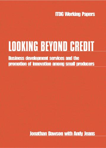 Looking Beyond Credit: Business development services and the promotion of innovation among small producers (Paperback)