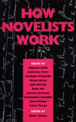 How Novelists Work (Paperback)