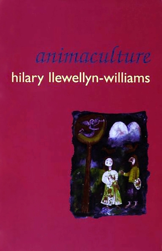 Animaculture (Paperback)