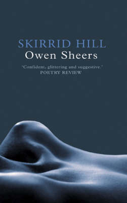 Skirrid Hill (Paperback)