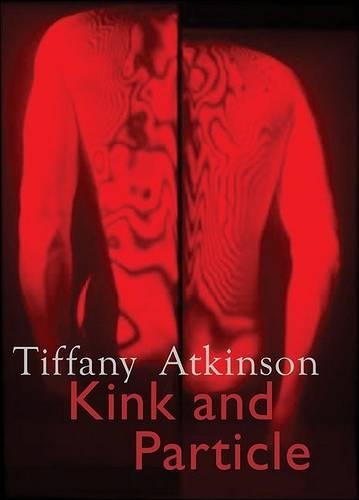 Kink and Particle (Paperback)