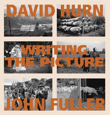 Writing the Picture (Hardback)