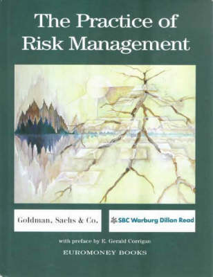 The Practice of Risk Management (Hardback)