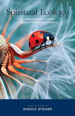Spiritual Ecology: Reading the Book of Nature and Reconnecting with the World (Paperback)