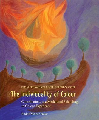 The Individuality of Colour: Contributions to a Methodical Schooling in Colour Experience (Hardback)