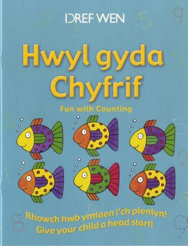 Hwyl gyda Chyfrif (Paperback)