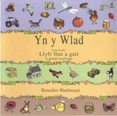 Yn Y Wlad: in the Country (Paperback)