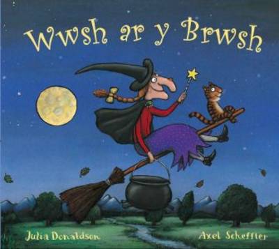 Wwsh ar y Brwsh (Paperback)