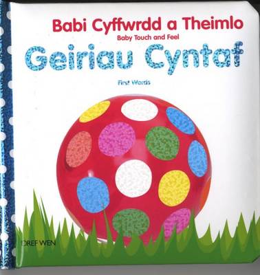 Babi Cyffwrdd a Theimlo/Baby Touch and Feel: Geiriau Cyntaf/First Words (Hardback)