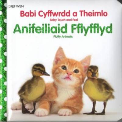 Babi Cyffwrdd a Theimlo: Anifeiliaid Fflyfflyd (Hardback)
