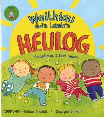 Weithiau Dwi'n Teimlo'n Heulog/Sometimes i Feel Sunny (Paperback)