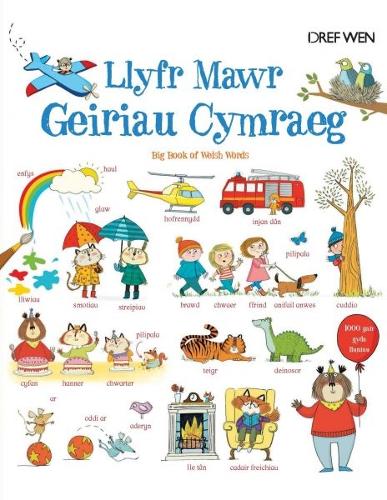 Llyfr Mawr Geiriau Cymraeg (Hardback)