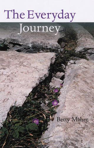 The Everyday Journey: Acknowledging the Integrity of Creation (Paperback)