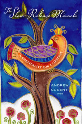 The Slow-Release Miracle: A Spirituality for a Lifetime (Paperback)