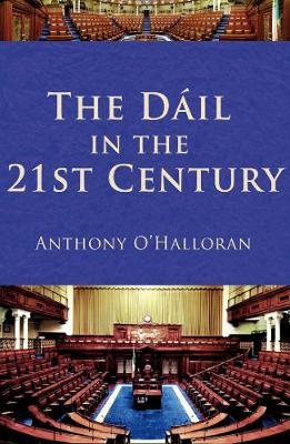 The Dail in the 21st Century (Hardback)