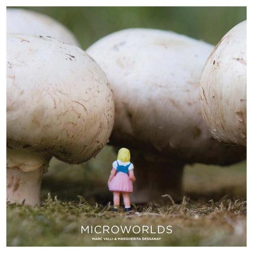 Microworlds (Paperback)