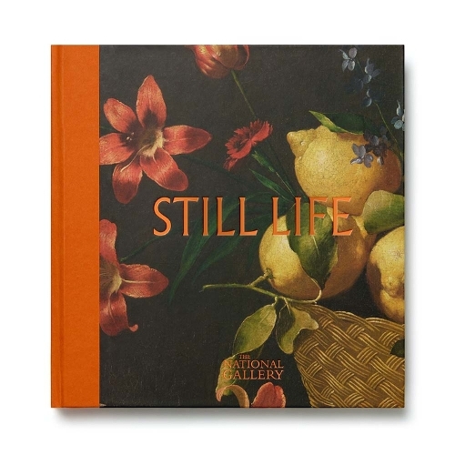 Still Life by Siân Walters | Waterstones