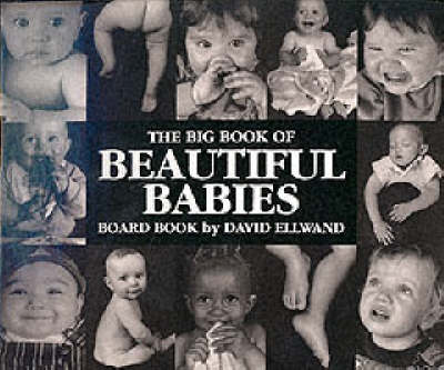 Big Book of Beautiful Babies (Board book)