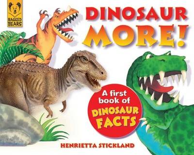 Dinosaur More: A First Book of Dinosaur Facts (Paperback)