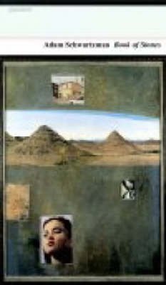 Book of Stones (Paperback)