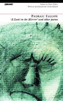 Look in the Mirror and Other Poems (Paperback)