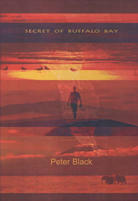 The Secret of Buffalo Bay (Paperback)