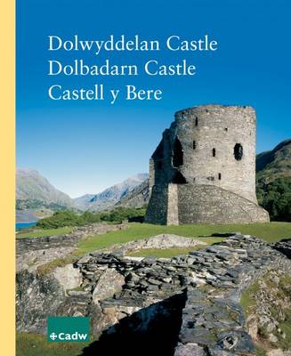 Dolwyddelan Castle - Dolbadarn Castle - Castell Y Bere (Paperback)