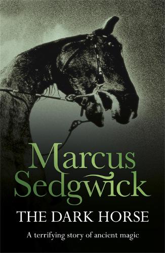 The Dark Horse (Paperback)
