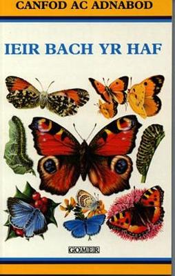 Cyfres Canfod ac Adnabod: Ieir Bach yr Haf (Paperback)