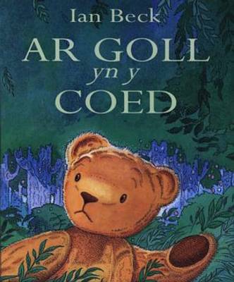 Ar Goll yn y Coed (Paperback)