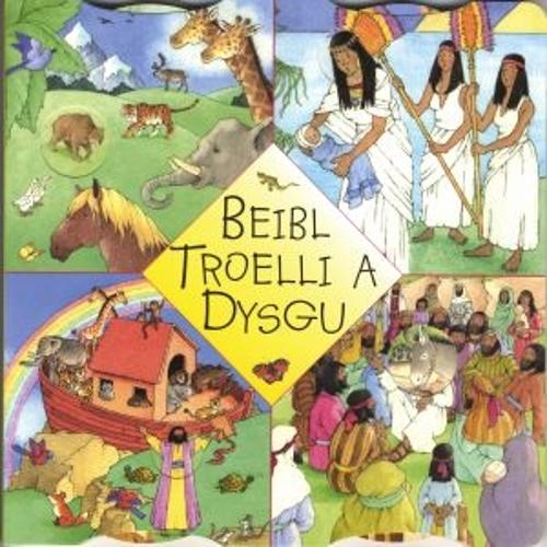 Beibl Troelli a Dysgu (Hardback)