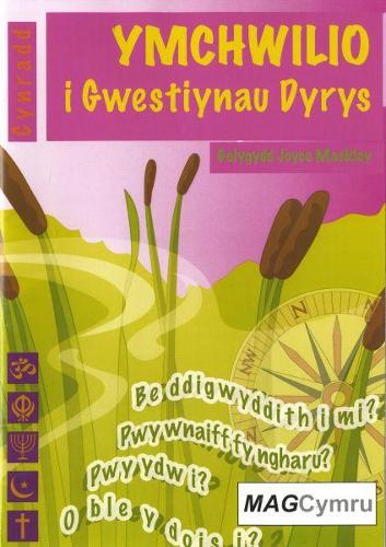 Cyfres Ymchwilio i Themau: Ymchwilio i Gwestiynau Dyrys (Paperback)
