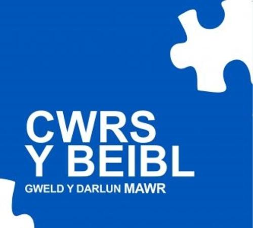 Cwrs y Beibl (Paperback)