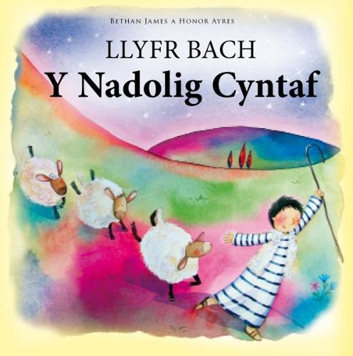 Llyfr Bach y Nadolig Cyntaf (Hardback)