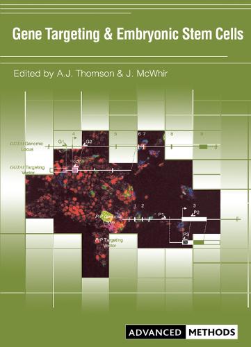 Gene Targeting and Embryonic Stem Cells - Advanced Methods (Paperback)