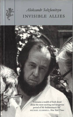 Invisible Allies (Paperback)