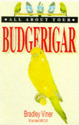 All About Your Budgerigar - All about your.... (Paperback)