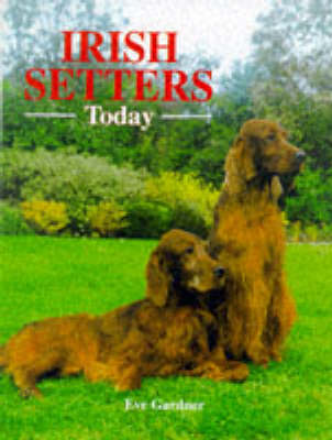 Irish Setters Today - Book of the Breed S (Hardback)