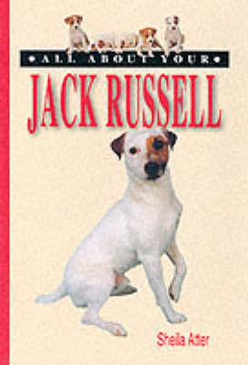 All About Your Jack Russell - All About Series (Paperback)